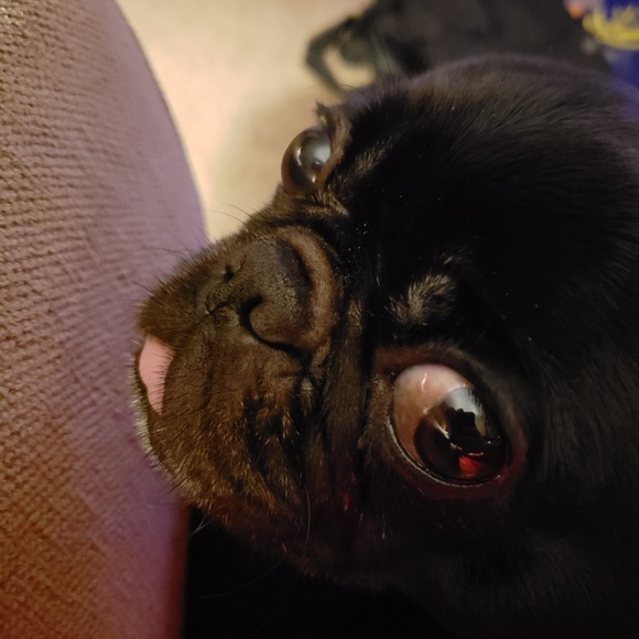 Meet your Posher, Jason - Picture 4 of 4